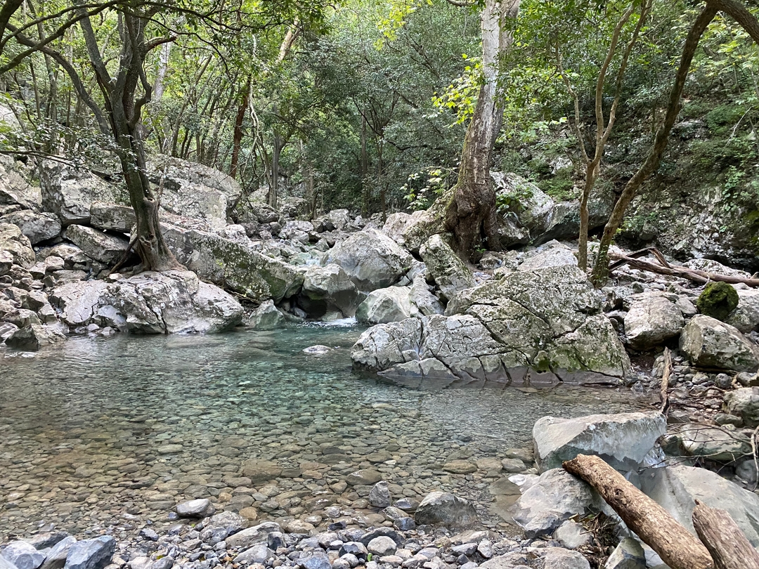Imagen en El Cielito