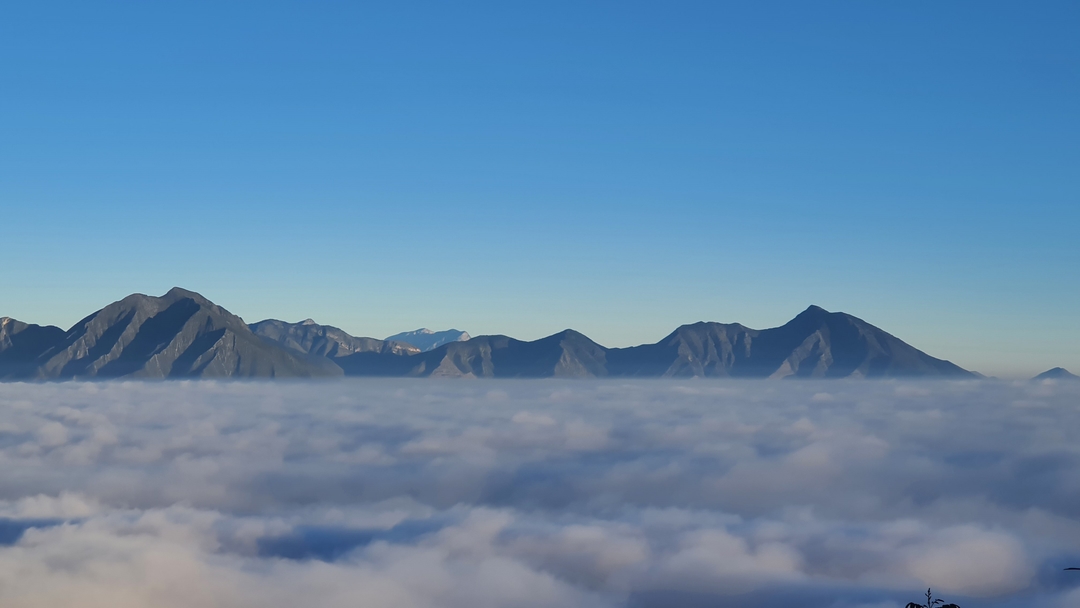 Imagen en Pico Piquín