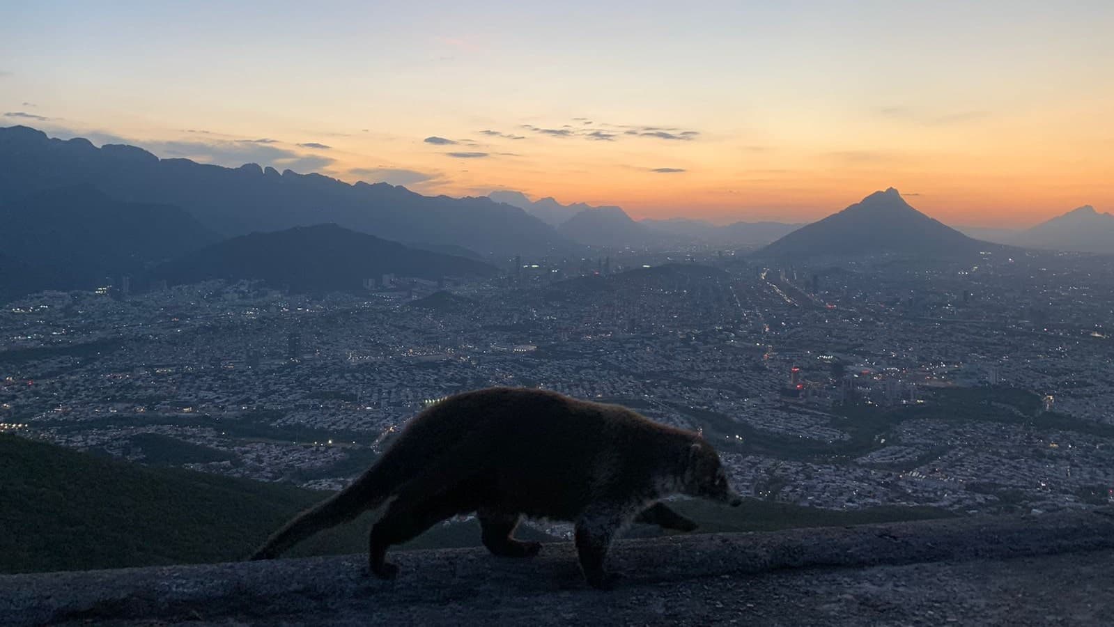 Foto de Teleférico