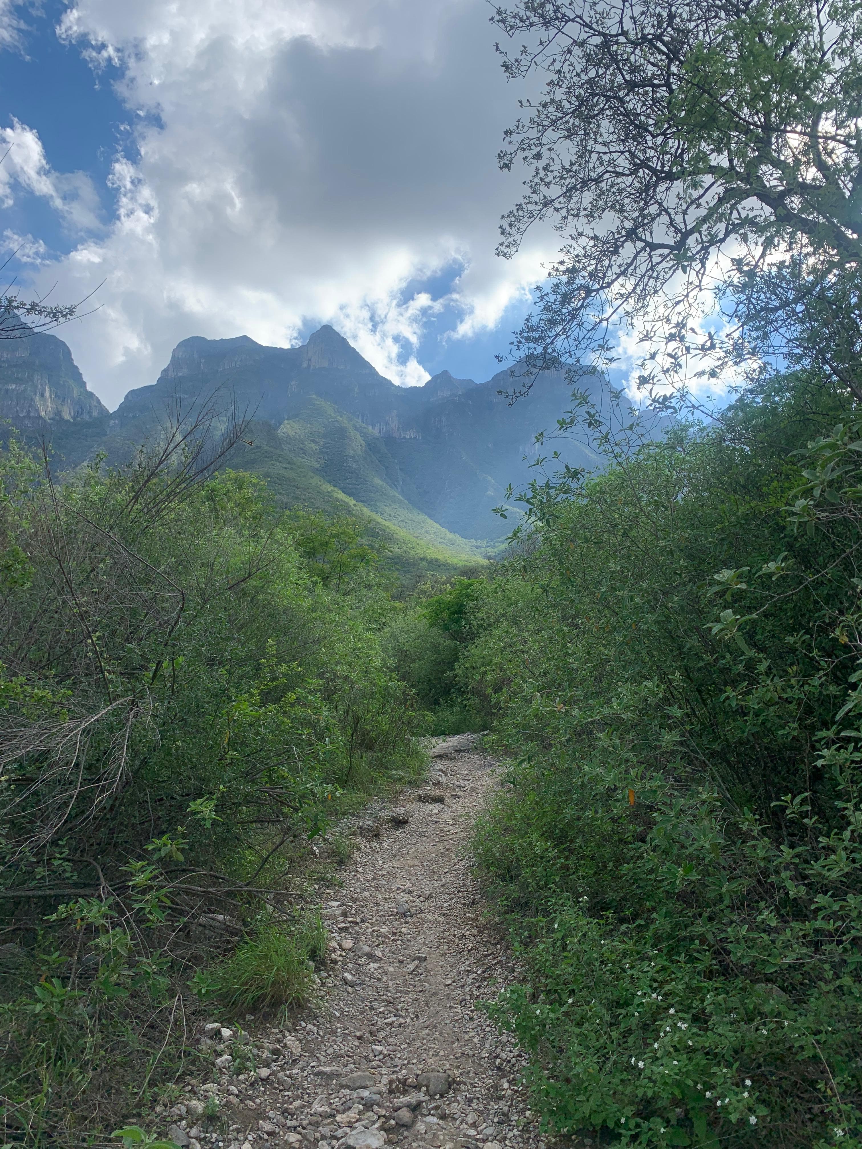 Introduction: Cerro de las Mitras