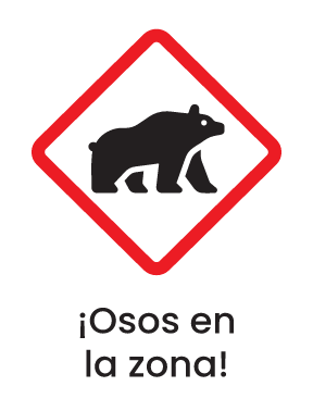 ¡Osos en la zona!